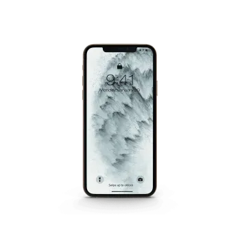 Демо-макет Pro Phone 11